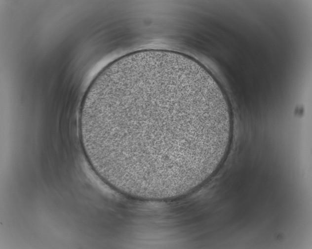 X0000111871238200909031808