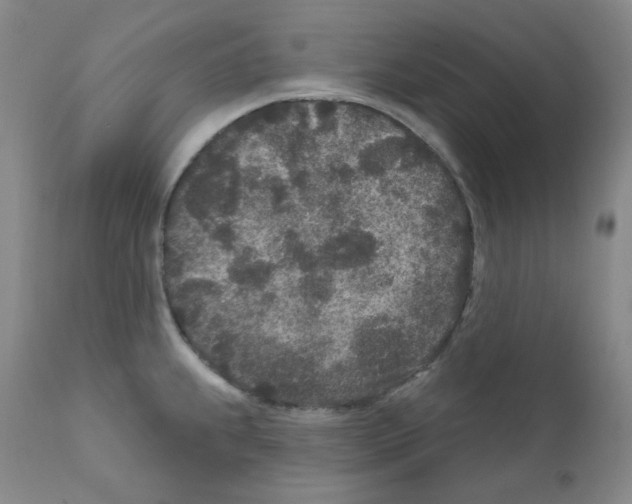 X0000111871239200909031808