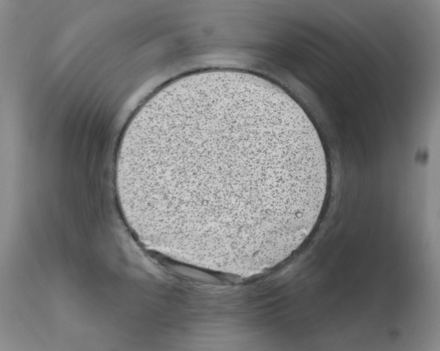 X0000111871240200909031808