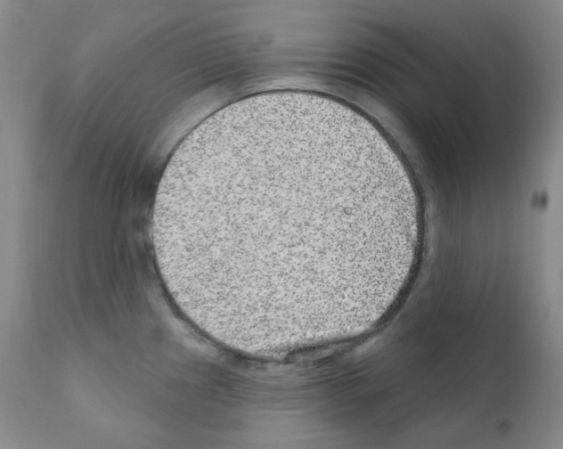 X0000111871241200909031808