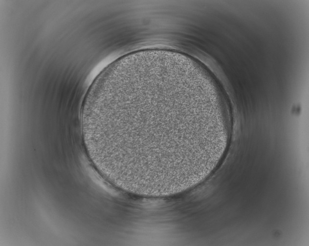 X0000111871242200909031808