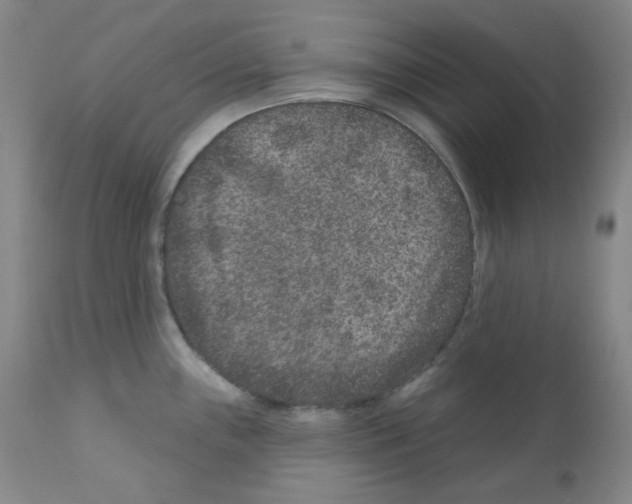 X0000111871243200909031808