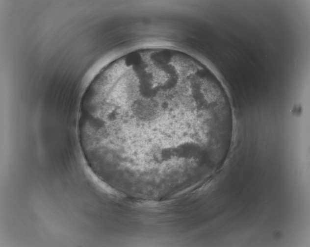 X0000111871245200909031808