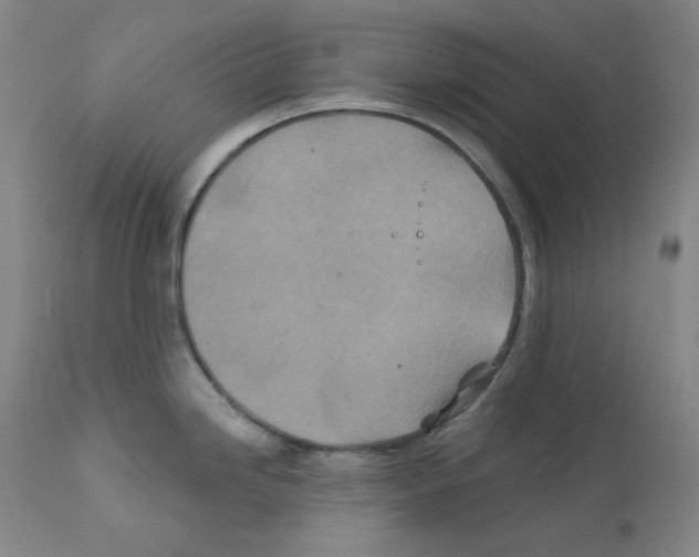 X0000111871246200909031808