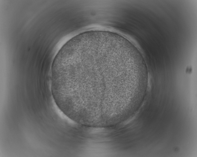 X0000111871247200909031808