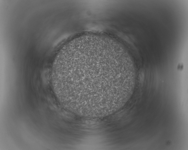 X0000111871254200909031807