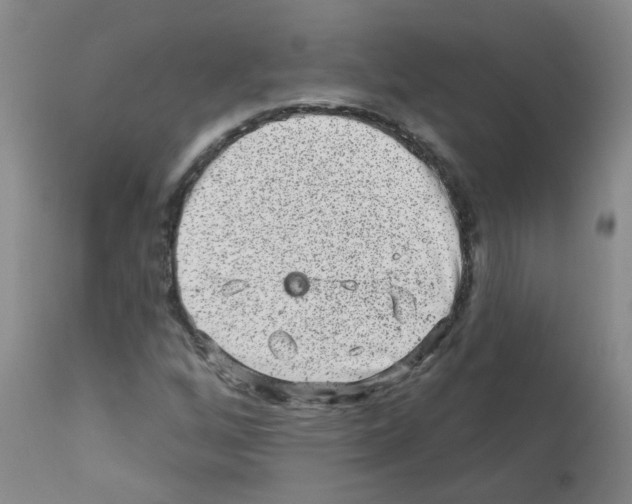 X0000111871256200909031807