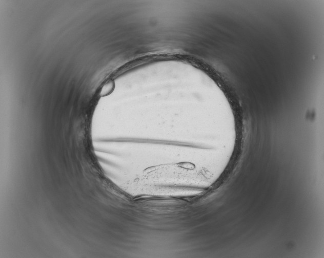 X0000111871257200909031807