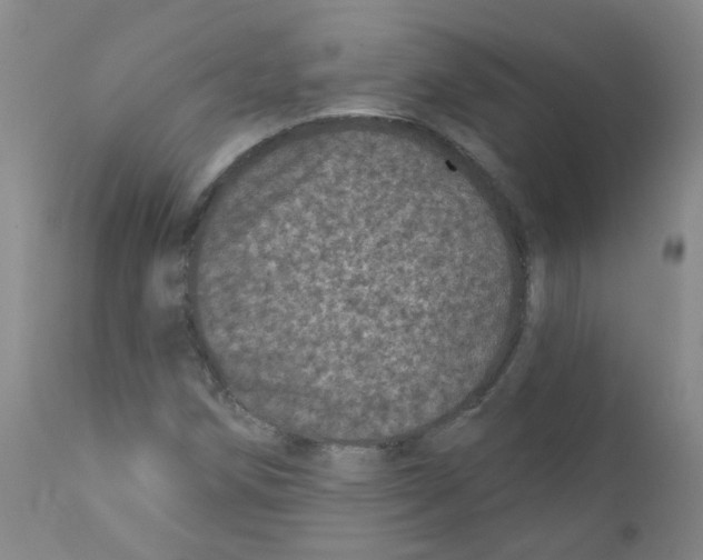 X0000111871258200909031807