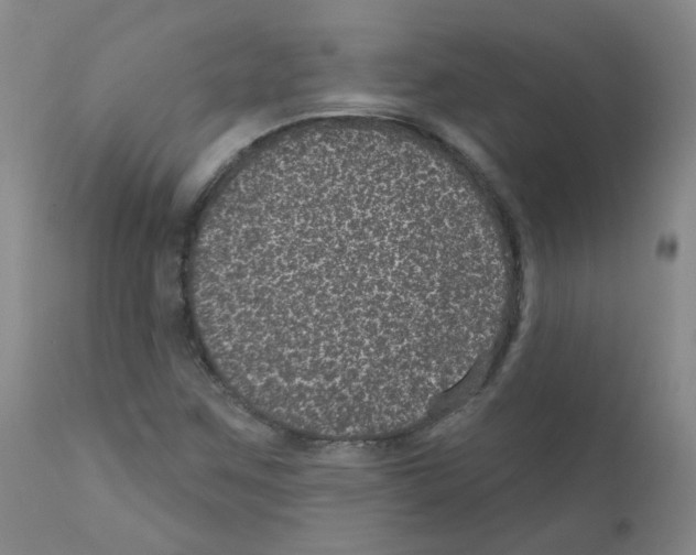 X0000111871259200909031807