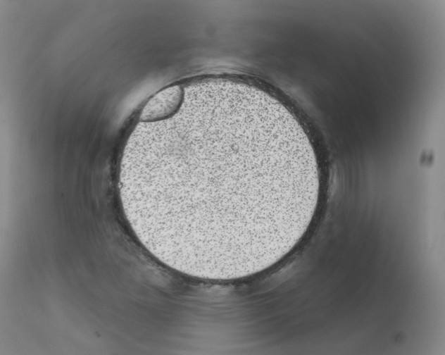 X0000111871261200909031807