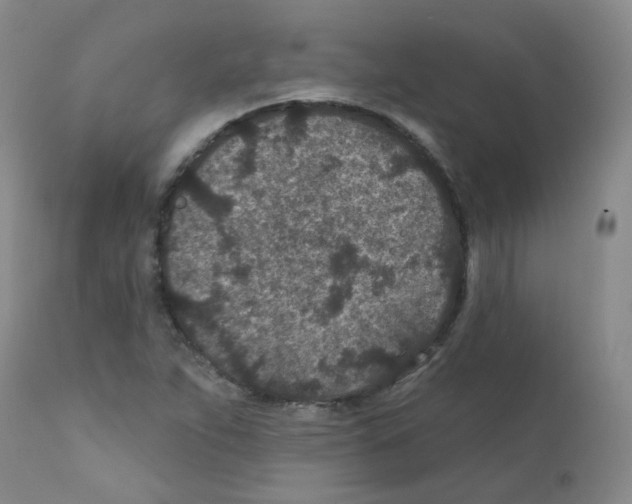 X0000111871263200909031807