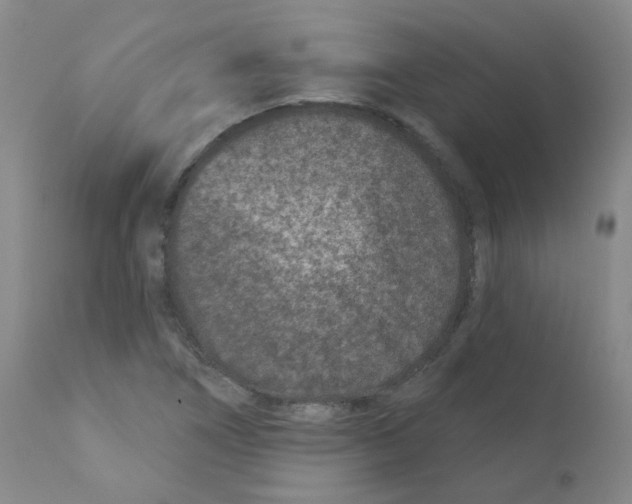 X0000111871266200909031807