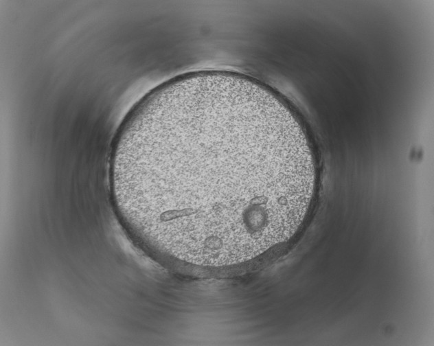 X0000111871268200909031807