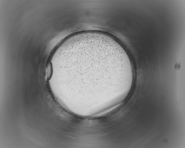 X0000111871269200909031807