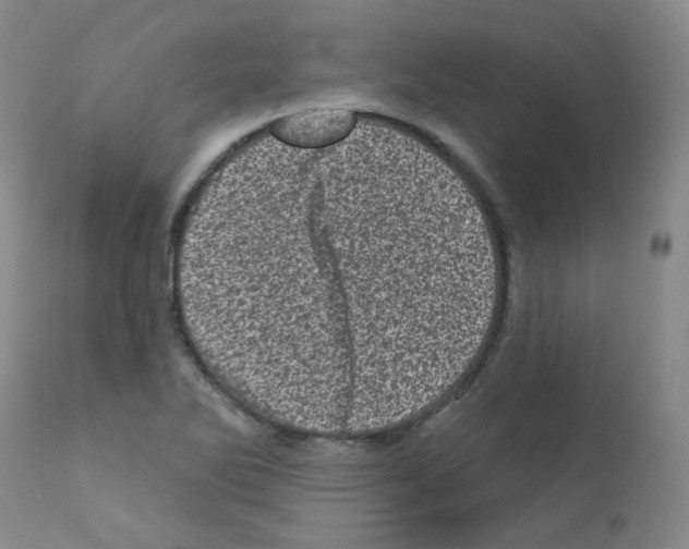 X0000111871270200909031807