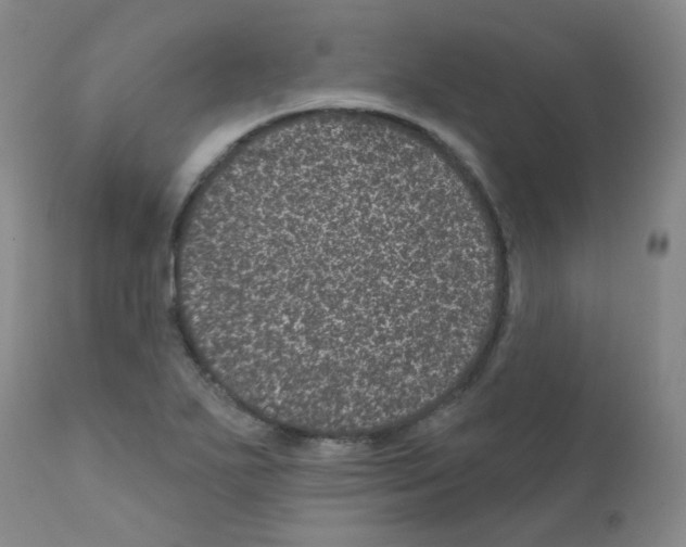 X0000111871271200909031807