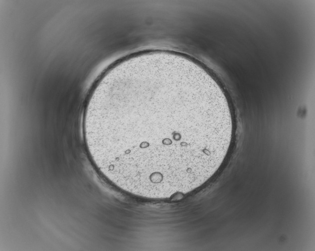 X0000111871272200909031807