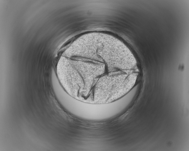 X0000111871273200909031807