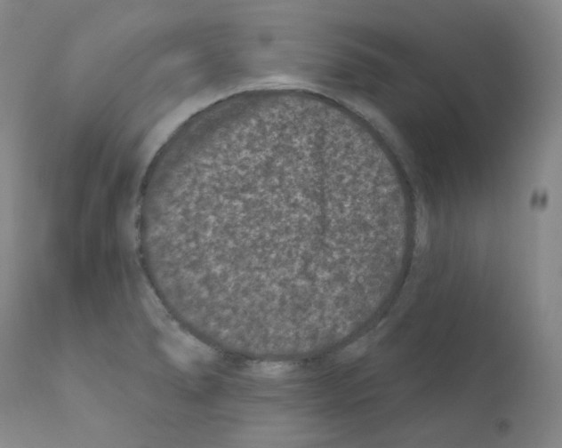 X0000111871278200909031807