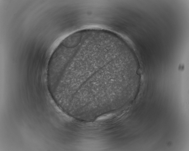 X0000111871279200909031807