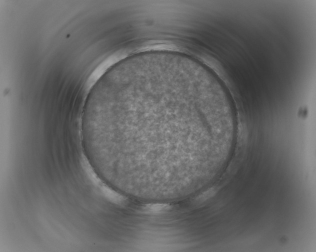 X0000111871282200909031807