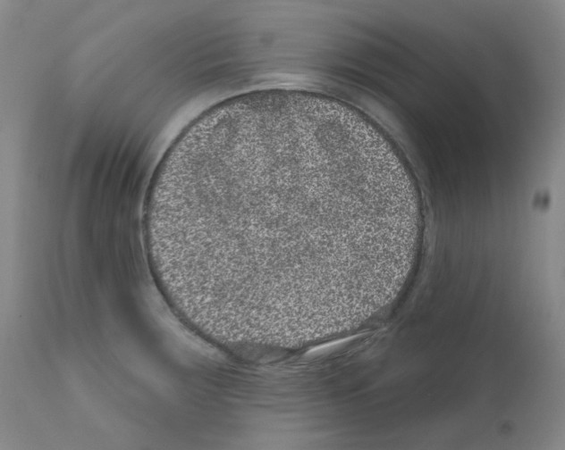 X0000111871283200909031806