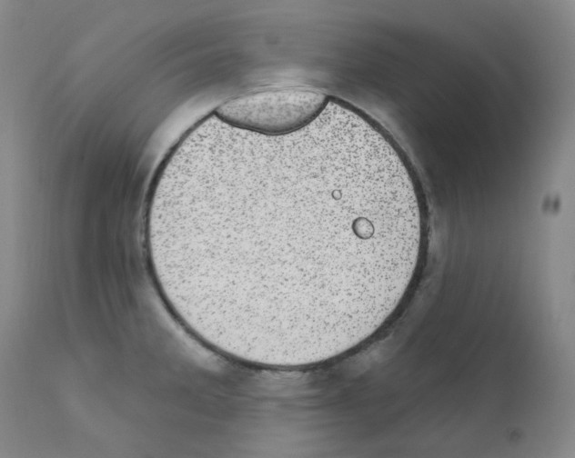 X0000111871285200909031806