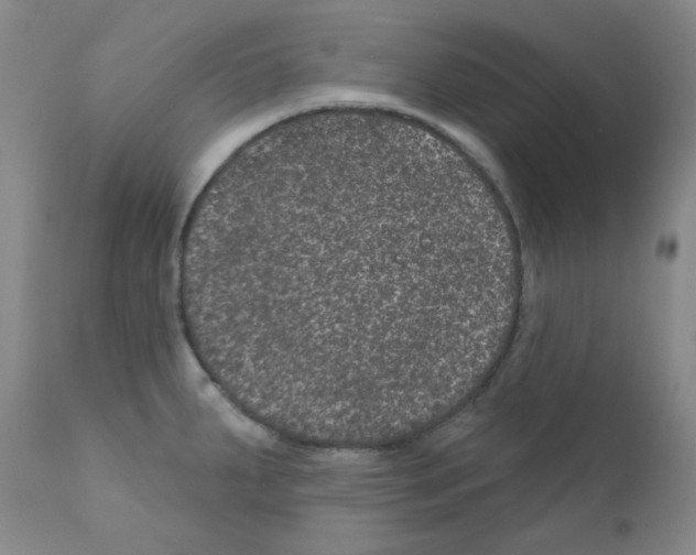 X0000111871287200909031806