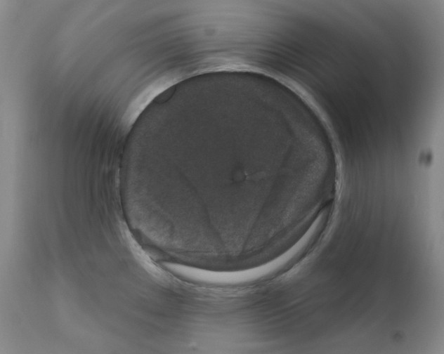 X0000111871289200909031806