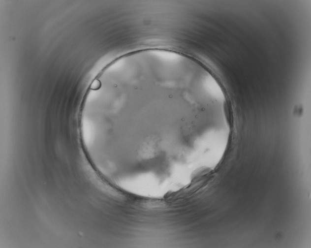 X0000111871291200909031806