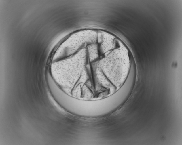 X0000111871293200909031806