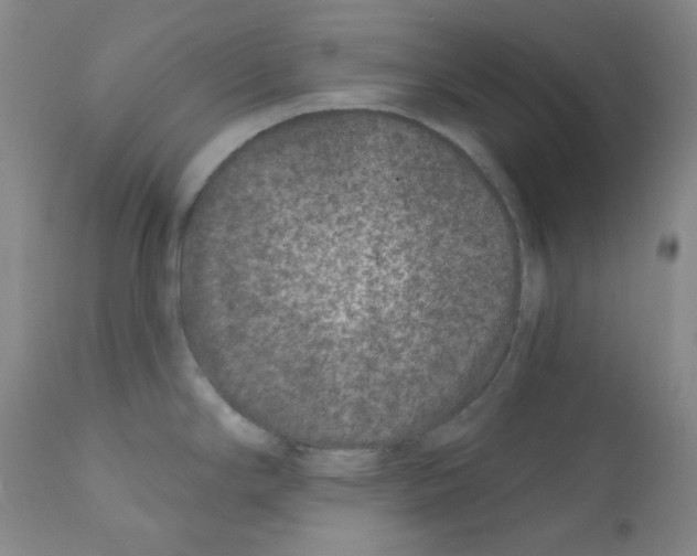 X0000111871294200909031806