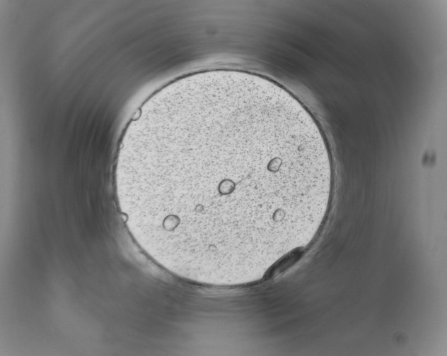 X0000111871296200909031806