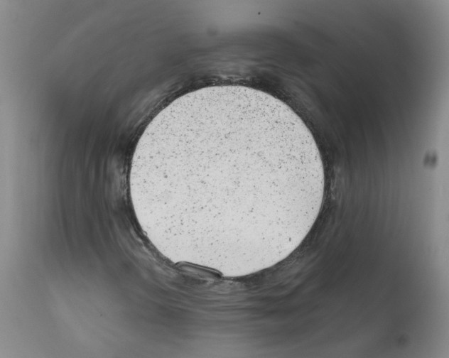 X0000111871298200909031806