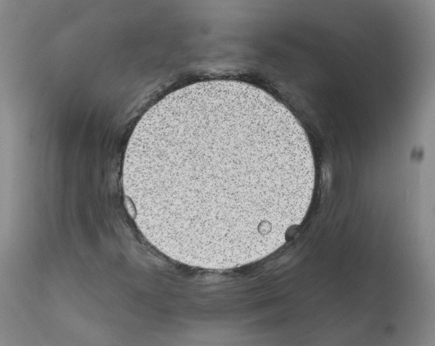 X0000111871300200909031806