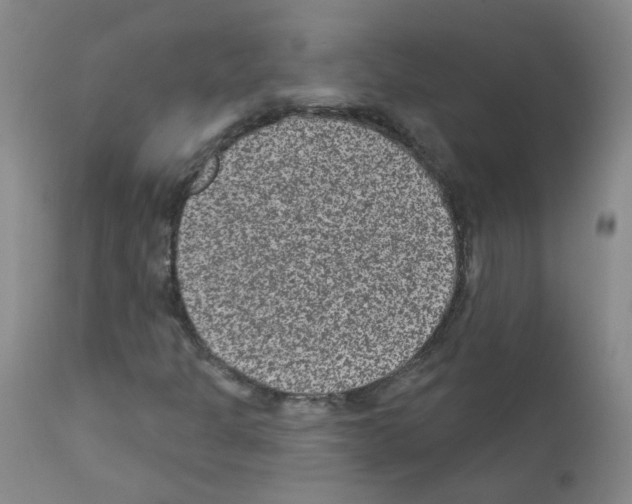 X0000111871301200909031806