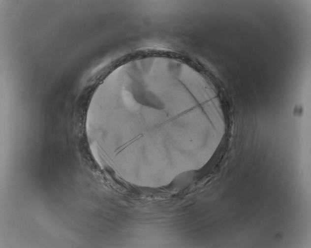 X0000111871303200909031806