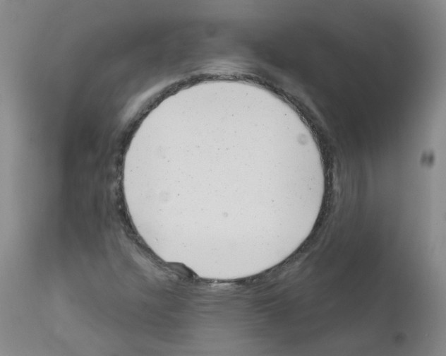 X0000111871304200909031806