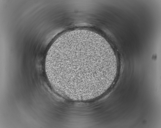 X0000111871305200909031806