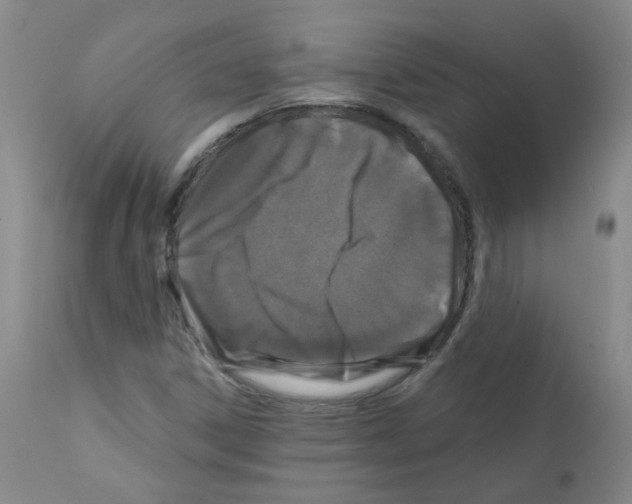 X0000111871306200909031806