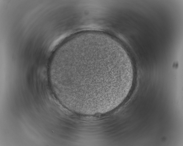 X0000111871307200909031806