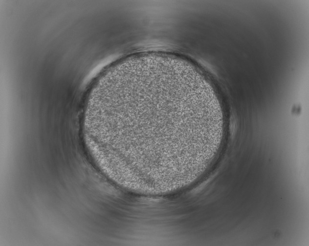 X0000111871309200909031806