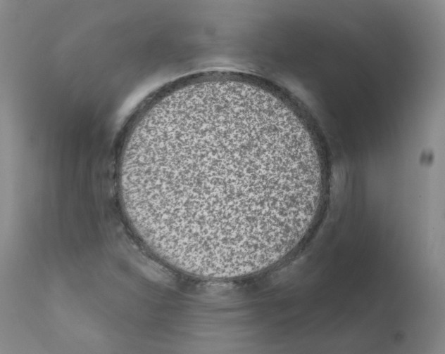 X0000111871310200909031806