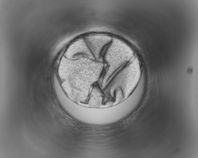 X0000111871311200909031806