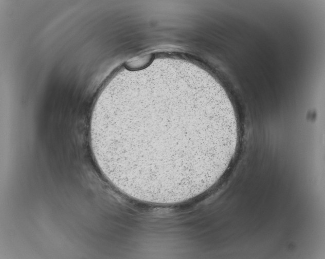 X0000111871313200909031806