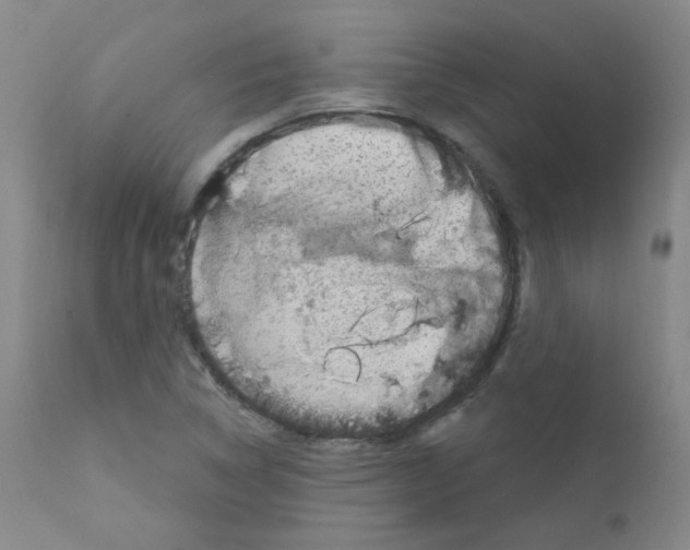 X0000111871314200909031806