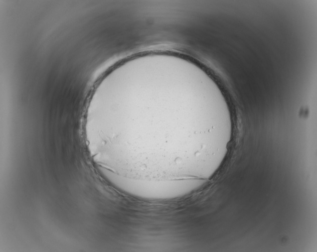 X0000111871316200909031806