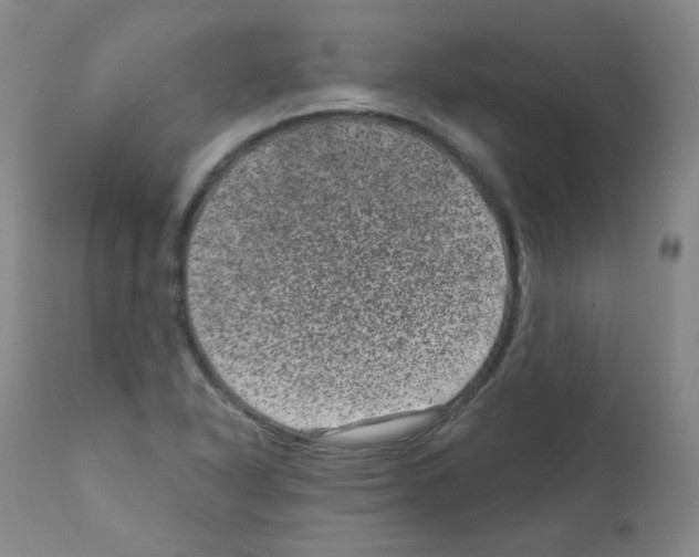 X0000111871318200909031806