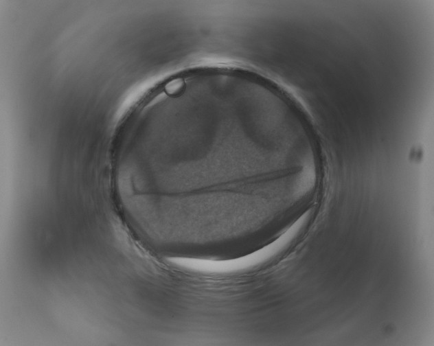 X0000111871319200909031806